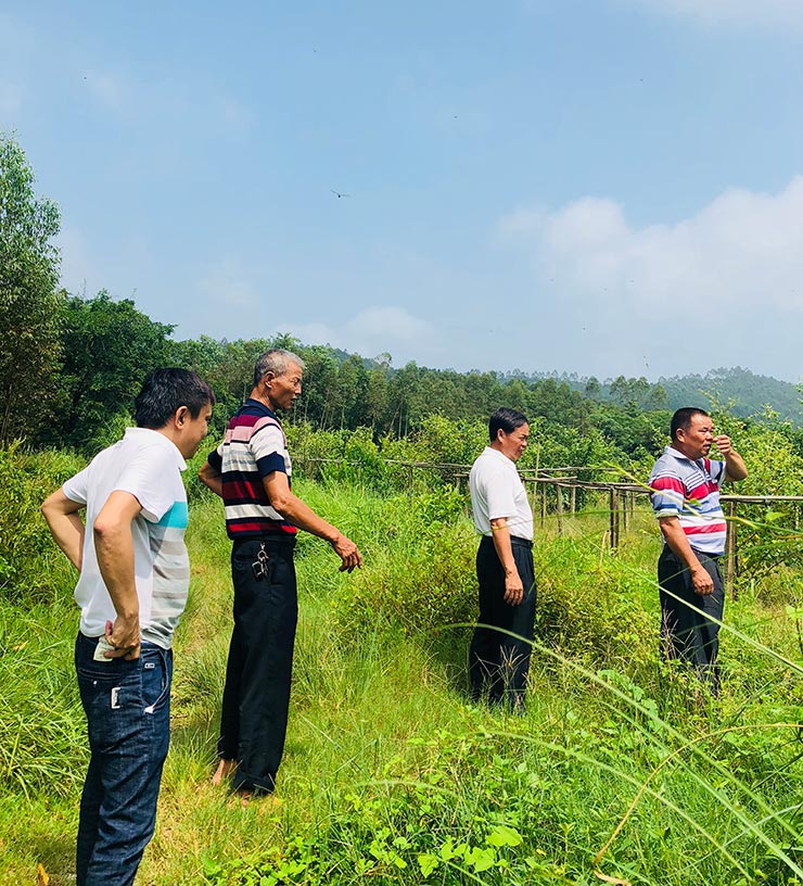 Z6·尊龙凯时(中国区)人生就是搏!