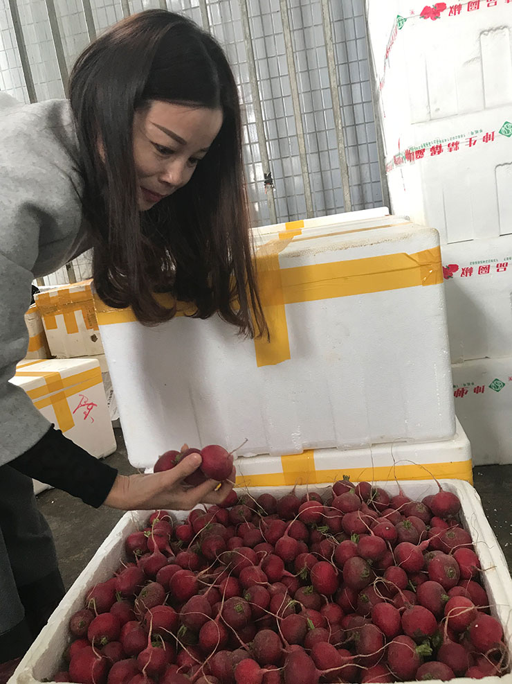 Z6·尊龙凯时(中国区)人生就是搏!