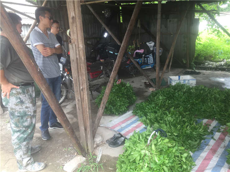 Z6·尊龙凯时(中国区)人生就是搏!