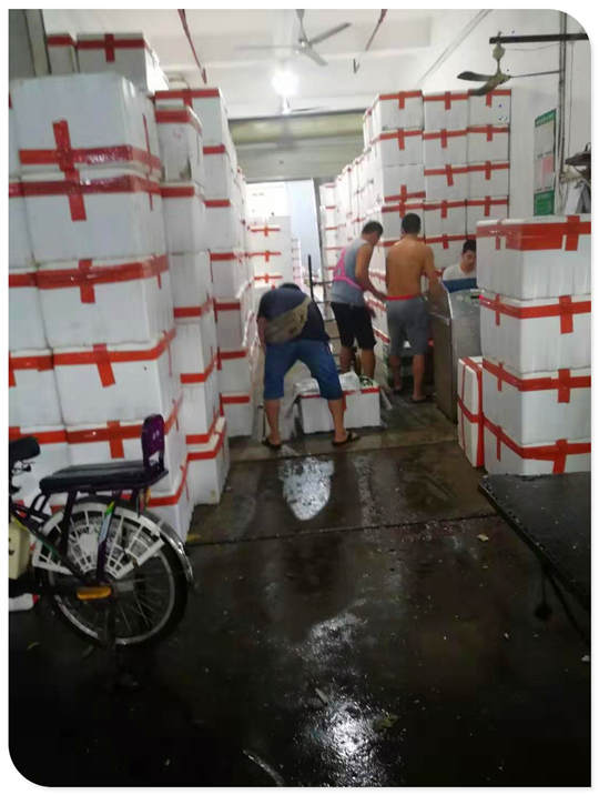 Z6·尊龙凯时(中国区)人生就是搏!