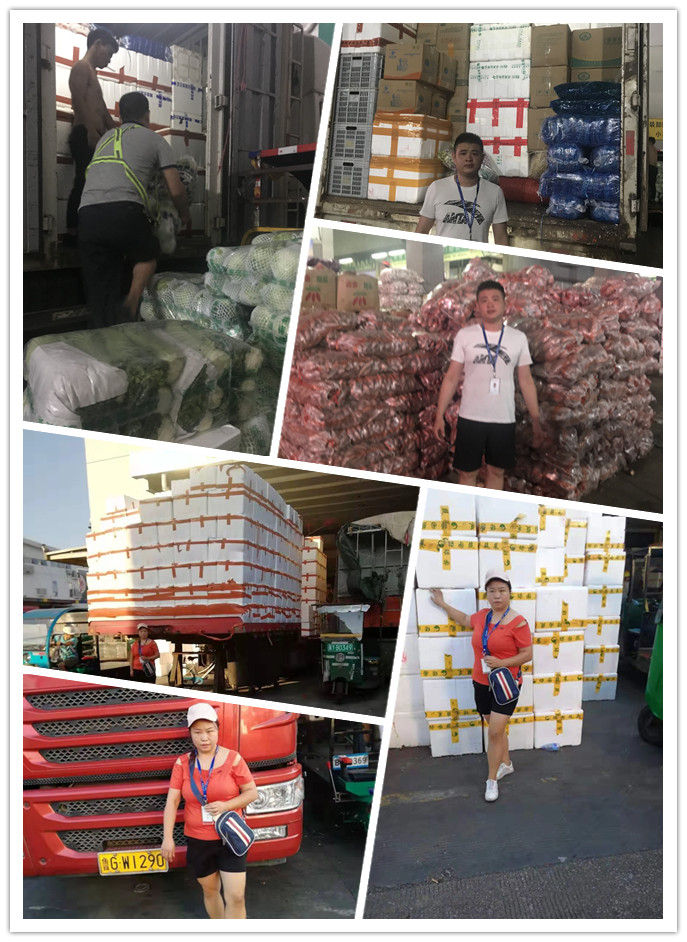 Z6·尊龙凯时(中国区)人生就是搏!