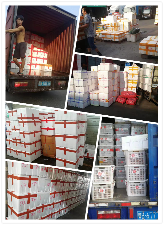 Z6·尊龙凯时(中国区)人生就是搏!