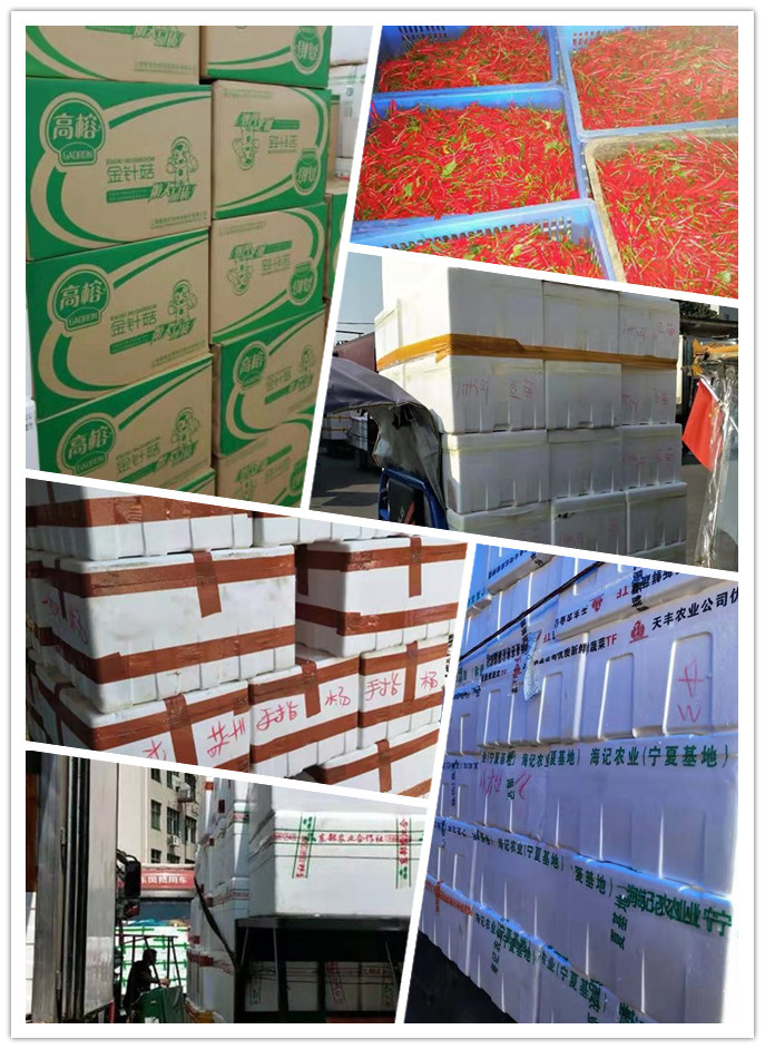 Z6·尊龙凯时(中国区)人生就是搏!