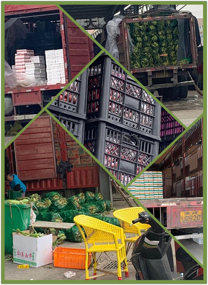 Z6·尊龙凯时(中国区)人生就是搏!