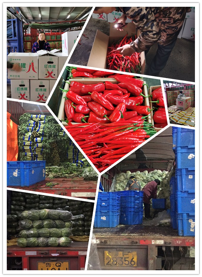 Z6·尊龙凯时(中国区)人生就是搏!