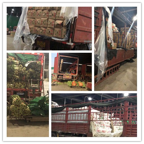 Z6·尊龙凯时(中国区)人生就是搏!