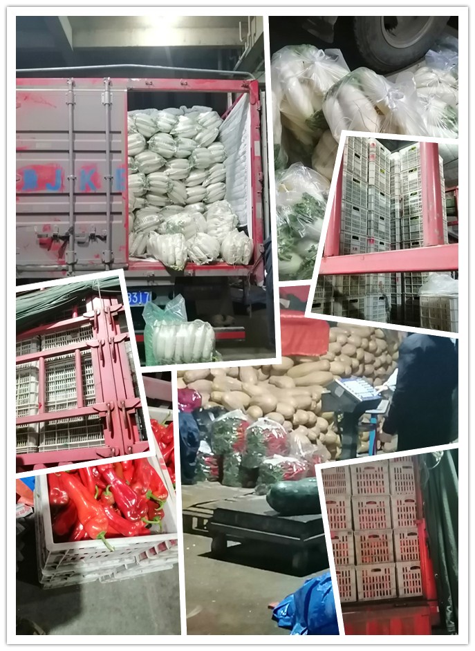 Z6·尊龙凯时(中国区)人生就是搏!