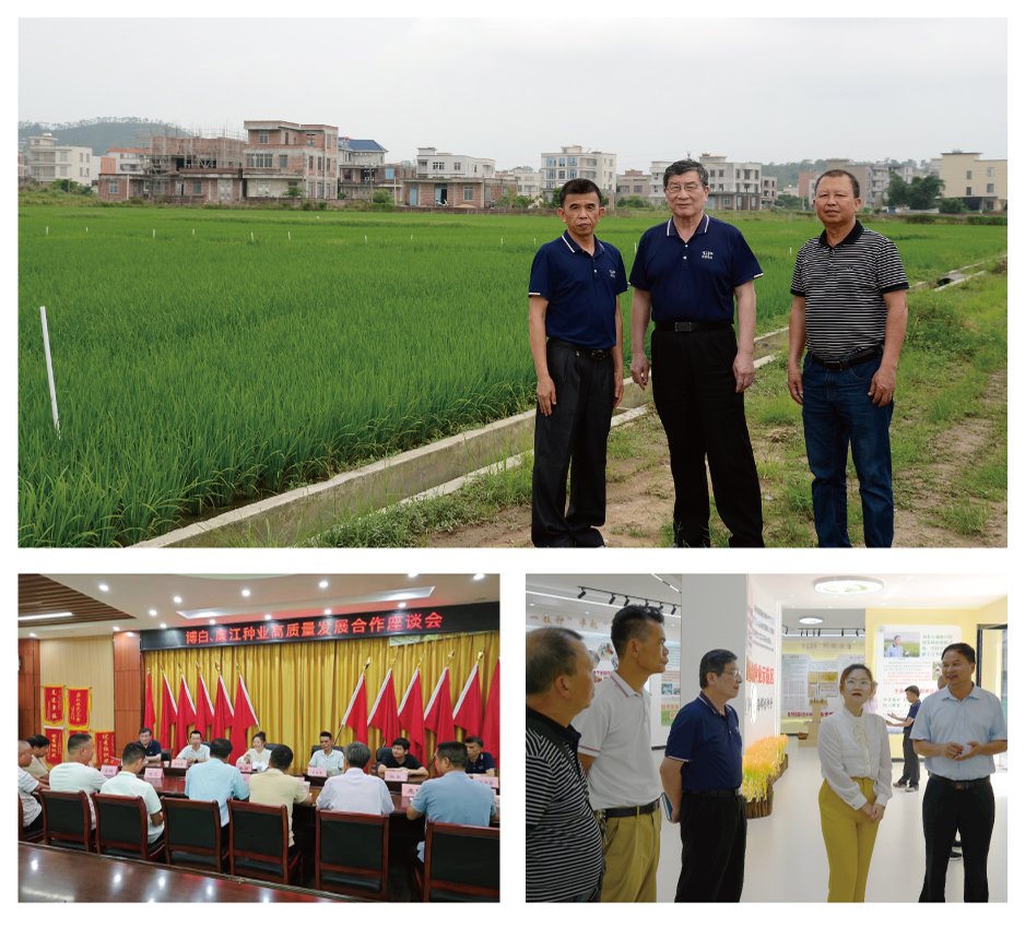 Z6·尊龙凯时(中国区)人生就是搏!