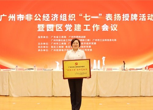 标杆引领，荣誉升级！集团党支部荣膺广州市非公有造经济组织“双强六好”标