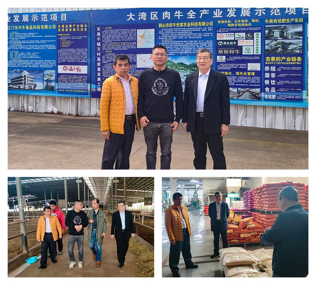 Z6·尊龙凯时(中国区)人生就是搏!