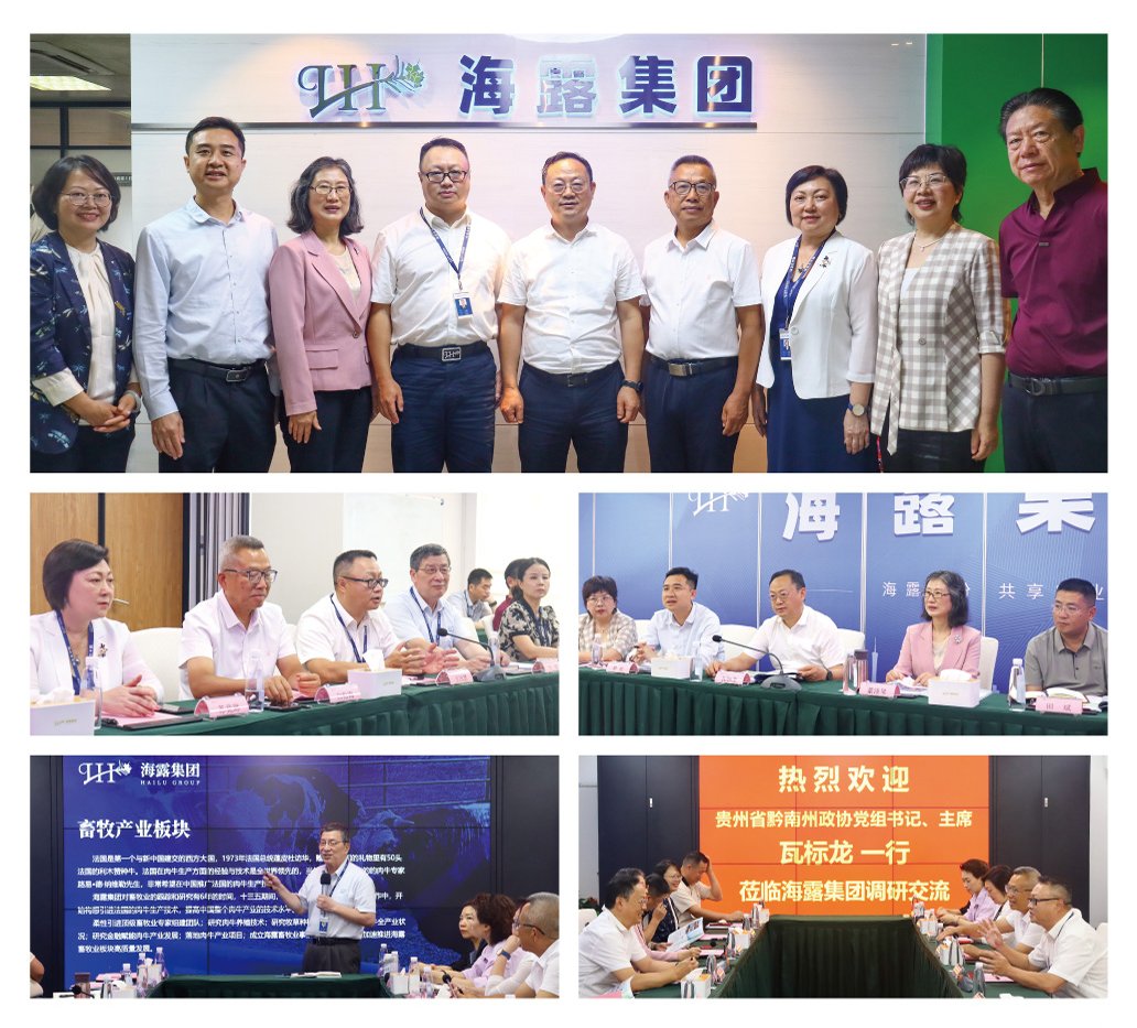 Z6·尊龙凯时(中国区)人生就是搏!