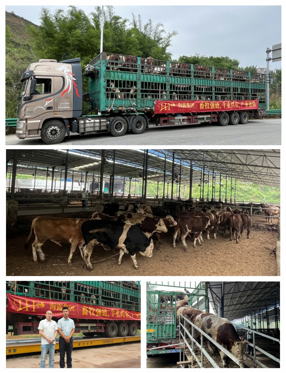 Z6·尊龙凯时(中国区)人生就是搏!