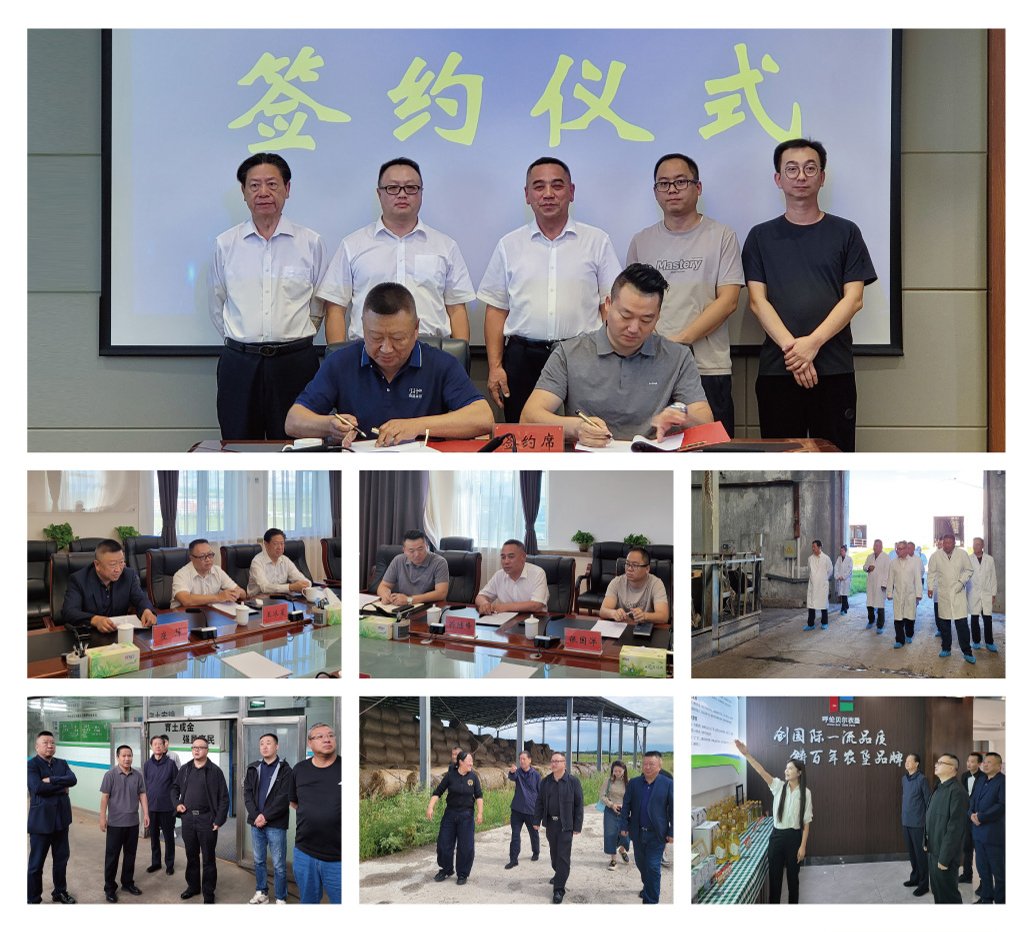 Z6·尊龙凯时(中国区)人生就是搏!